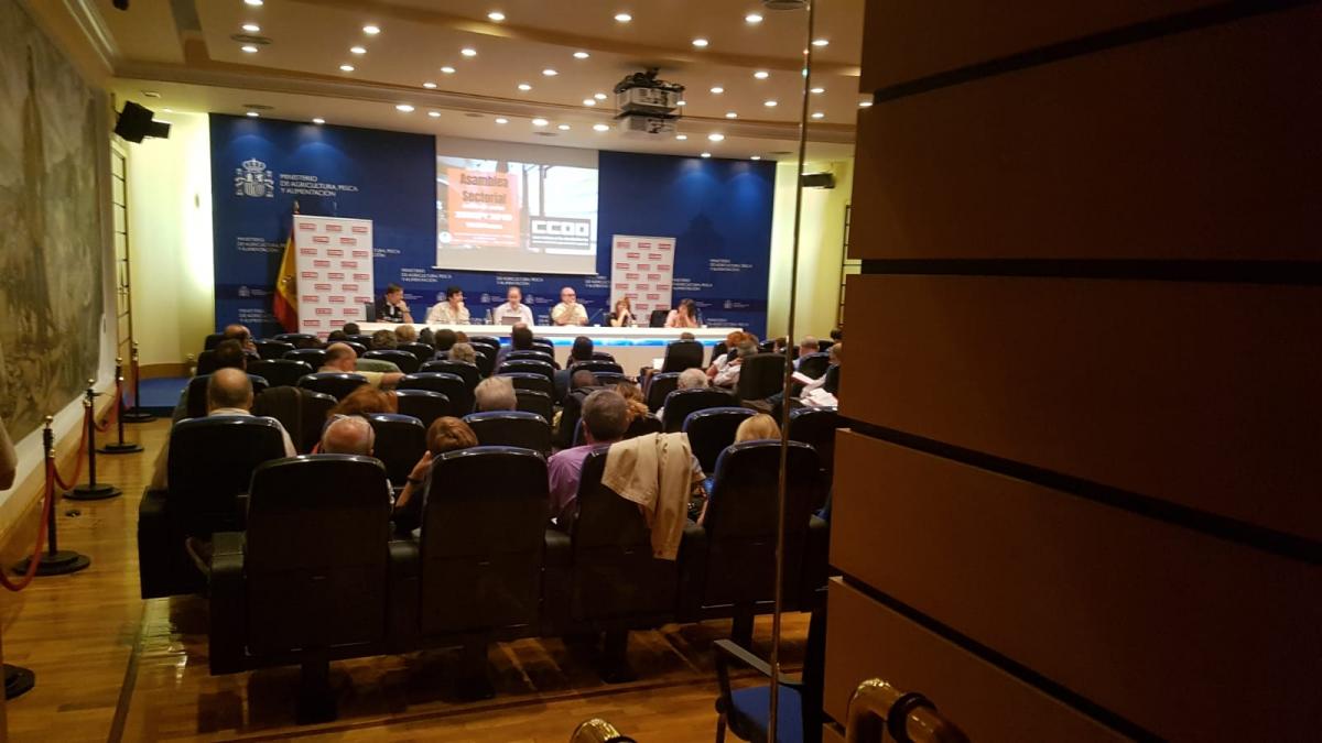 Asamblea Sectorial 25 septiembre 2019