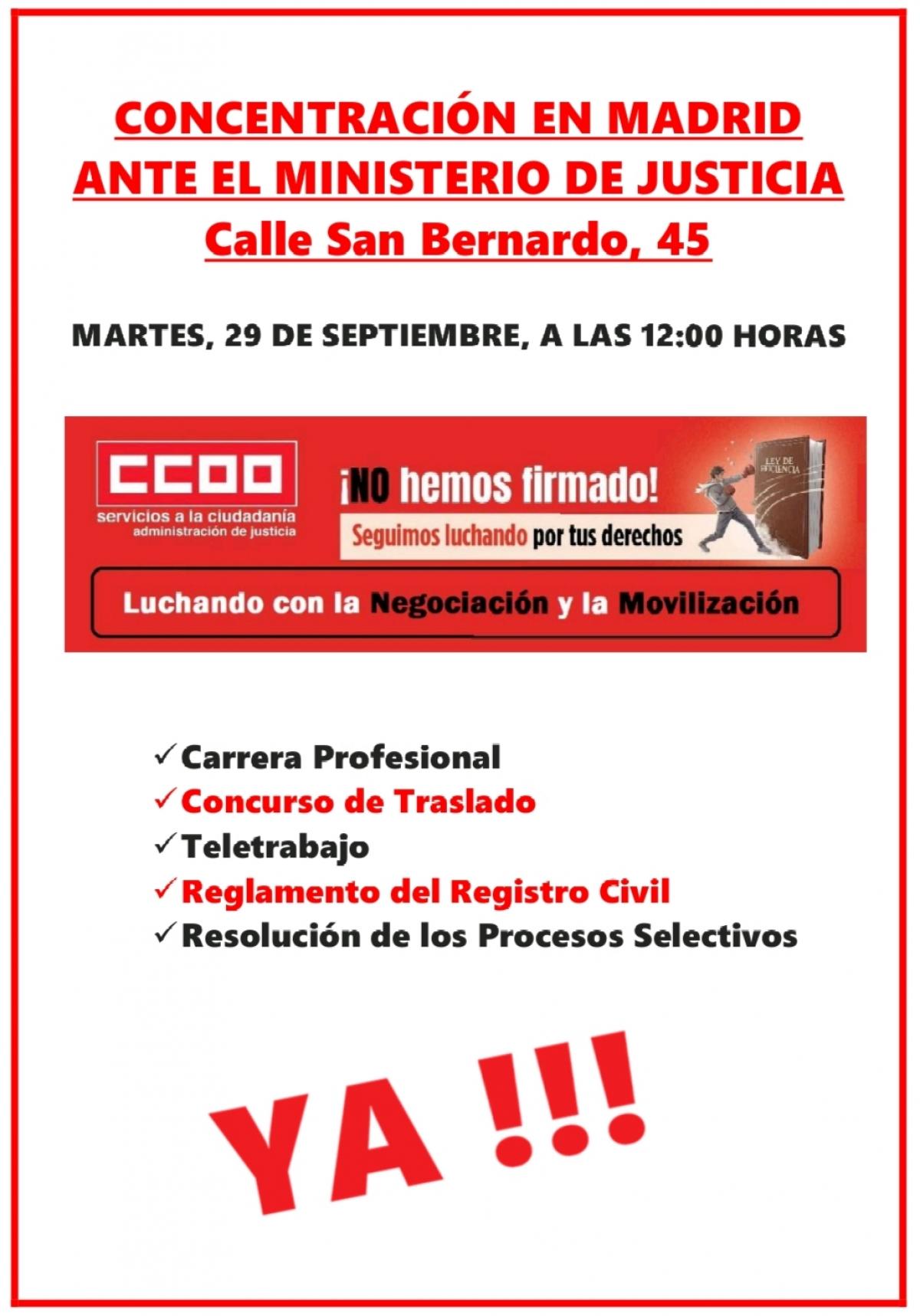 Concentración 29S