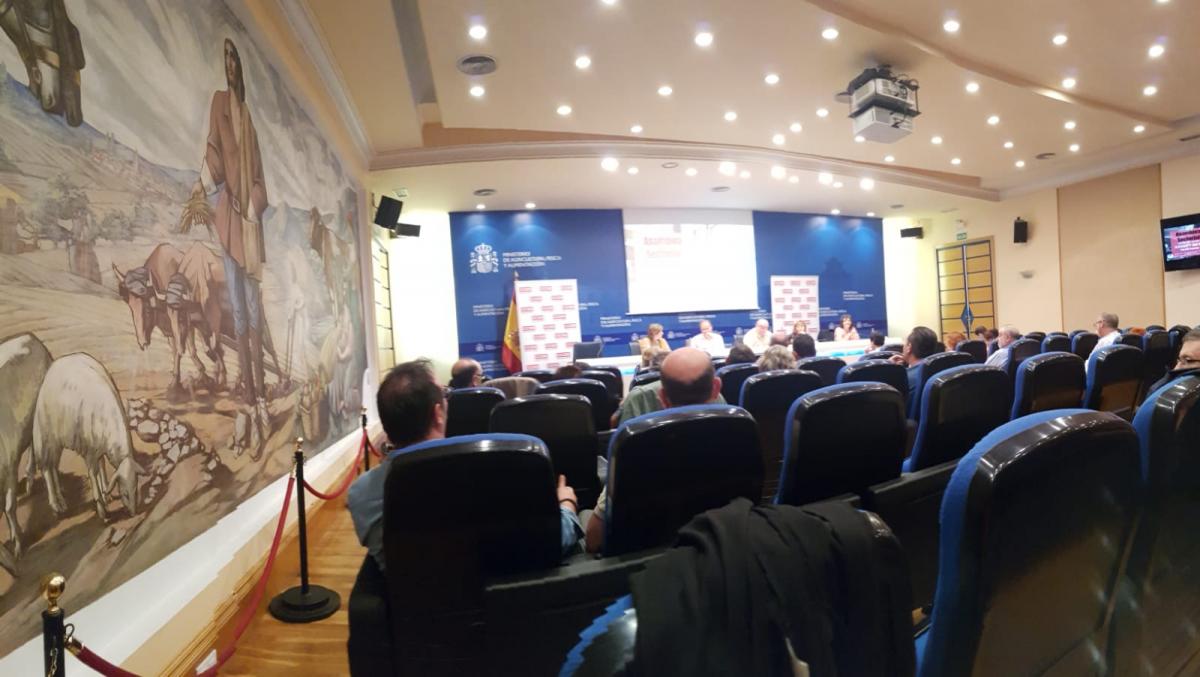 Asamblea Sectorial 25 septiembre 2019