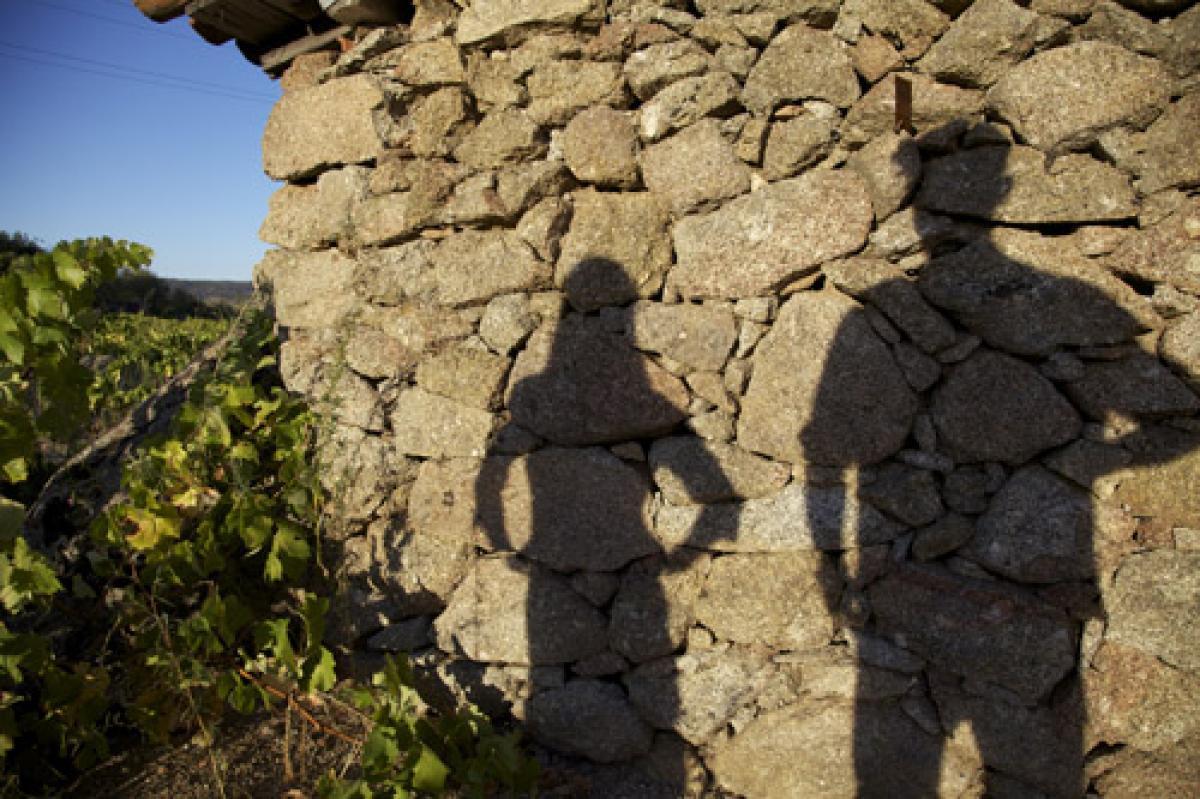 Se vuelve a poner de manifiesto la masculinización del medio rural y pesquero en el MAPA.